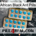 African Black Ant Pills new08